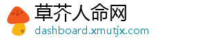 草芥人命网