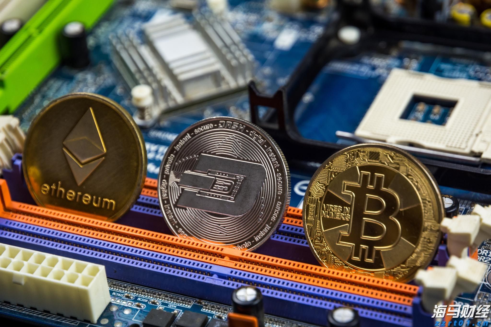 市农业农村局:干字当头抓落实 奋力开创新局面